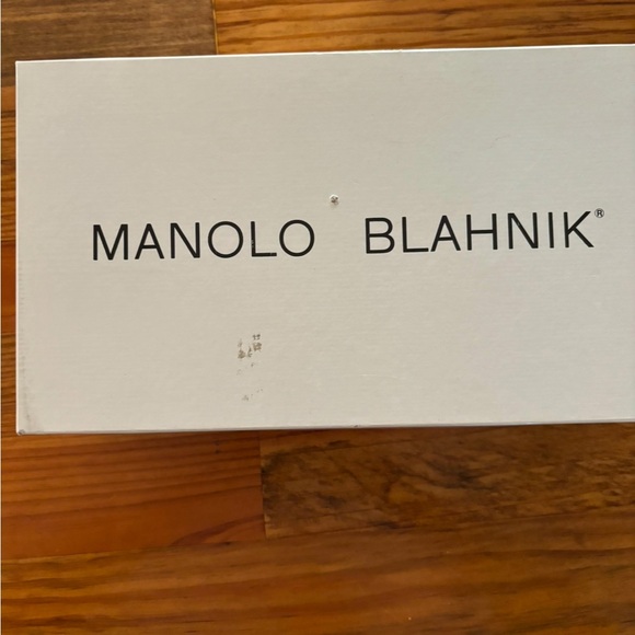 MANOLO BLAHNIK SILVER HEELS - Picture 1 of 6